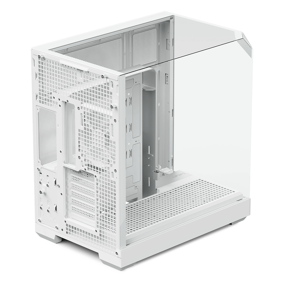 APNX V2 3GLASSES CASE - WHITE